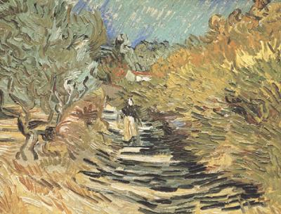 Vincent Van Gogh A Road at Sain-Remy with Female Figure (nn04) oil painting picture